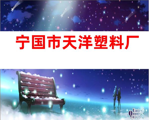 宁国市天洋塑料厂
