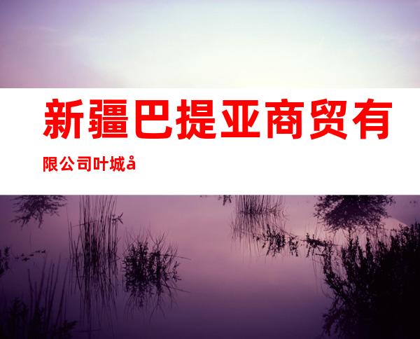 新疆巴提亚商贸有限公司叶城分公司
