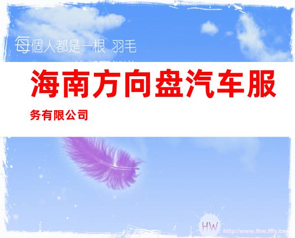 海南方向盘汽车服务有限公司